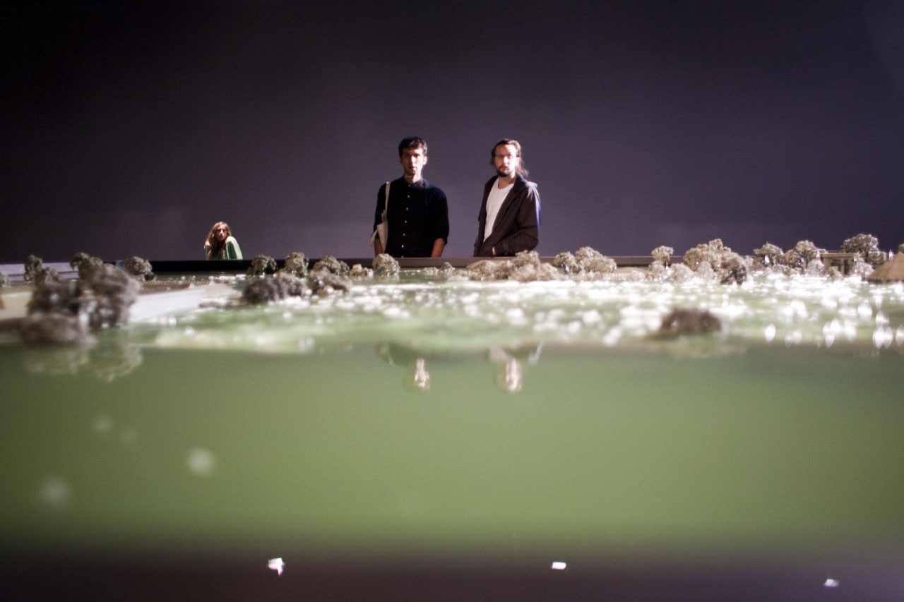 Alfredo Jaar, Venice Venice Domus